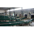 telescopic conveyor for uploading and downloading